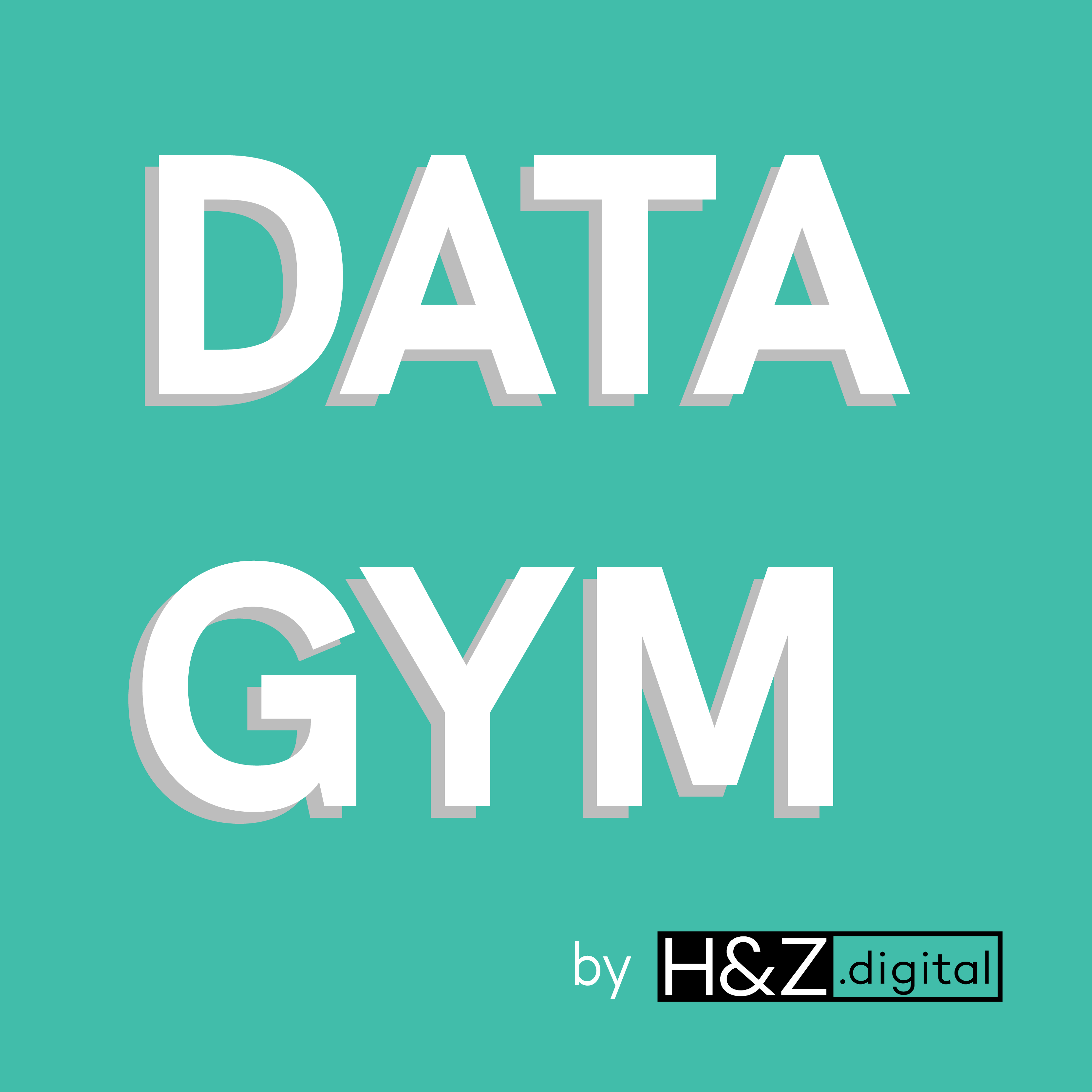 DataGym_Logo_H&Z.digital - 1x1_Zeichenfläche 1